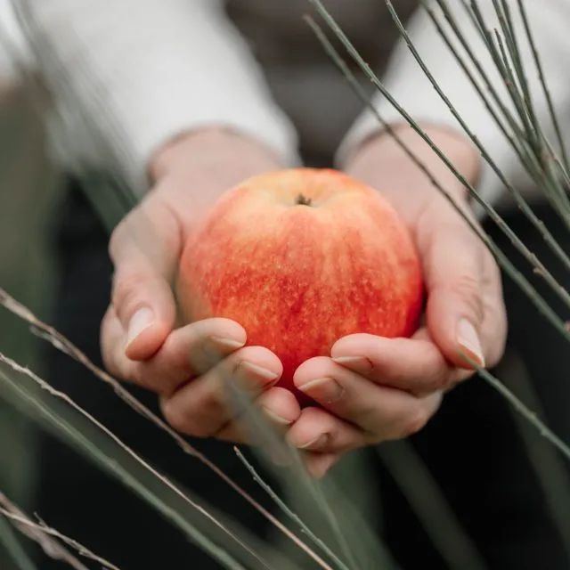 Apfel in offenen Händen als Symbol für gesunde Ernährung